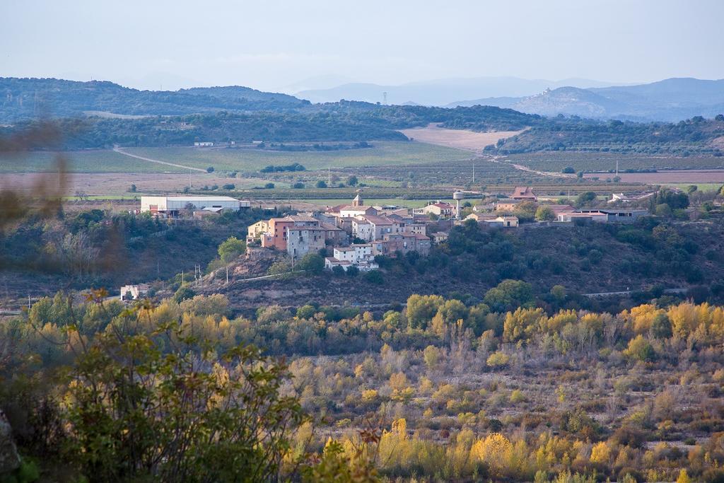 Casa de camp Casa Forcada Enate